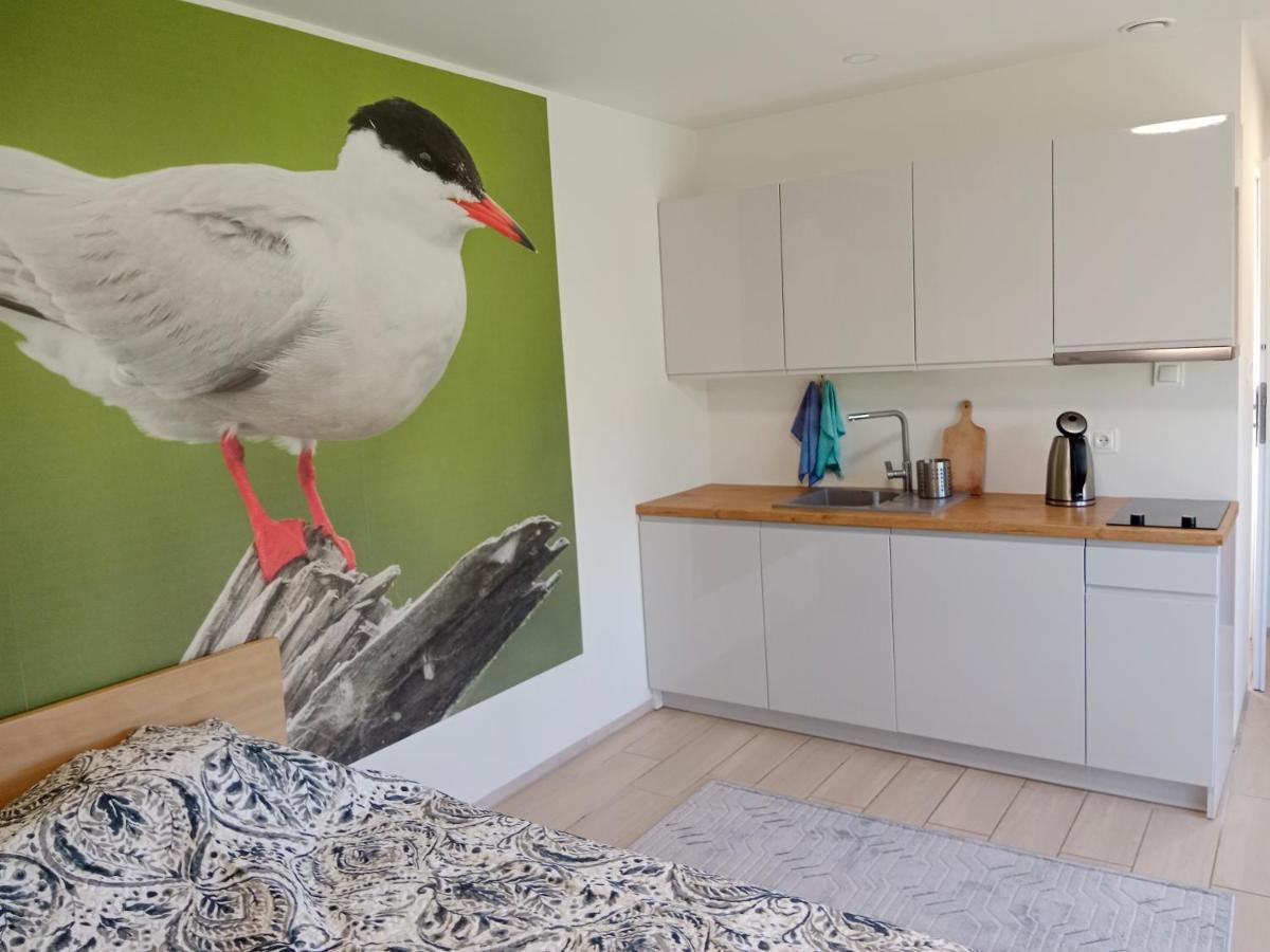 Apartamenty I Domki Osinscy Braniewo Exterior foto