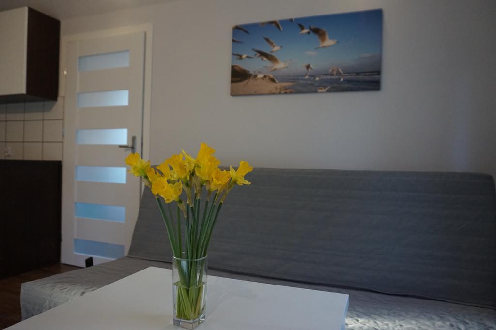 Apartamenty I Domki Osinscy Braniewo Exterior foto